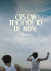 Cats Can Teach You To Die Alone