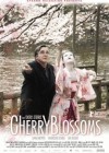 cherry-blossoms2.jpg
