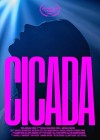Cicada