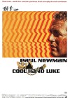 cool-hand-luke.jpg