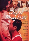 Days of Being Wild