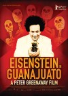 eisenstein-in-guanajuato2.jpg