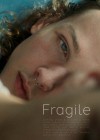 fragile-2026.jpg