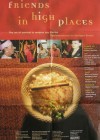 friends-in-high-places.jpg