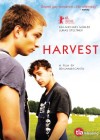 harvest-2011.jpg