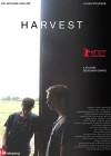 harvest-2011a.jpg