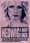 hedwig-and-the-angry-inch2.jpg