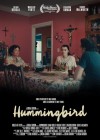 Hummingbird