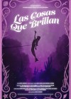 Cosas Que Brillan (Las)