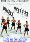 Life in Synchro