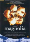 magnolia2.jpg