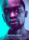moonlight.jpg