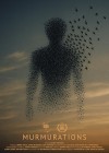 Murmurations Murmurations