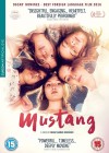 mustang2.jpg