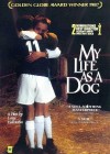 my-life-as-a-dog4.jpg