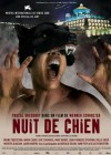 Nuit de chien