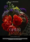 opium-dream.jpg