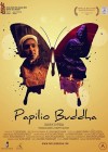 Papilio Buddha