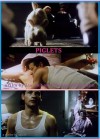 piglets.jpg