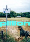 pillion5.jpg