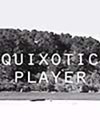 quixotic-player.jpg