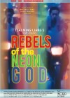 rebels-of-the-neon-god2.jpg