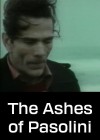 the-ashes-of-pasolini.jpg