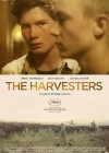 the-harvesters.jpg