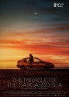 the-miracle-of-the-sargasso-sea.jpg