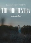Orchestra (The)