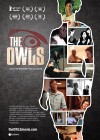 the-owls.jpg