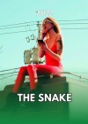 the-snake-2026.jpg