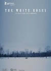 White Roses (The)