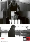 toro2.jpg