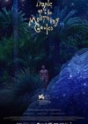 Tropic of the Mourning Gecko