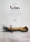 Veins