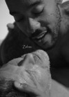 zebra-2015.jpg